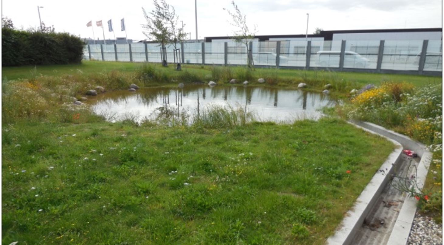 S� - Klimatilpasning